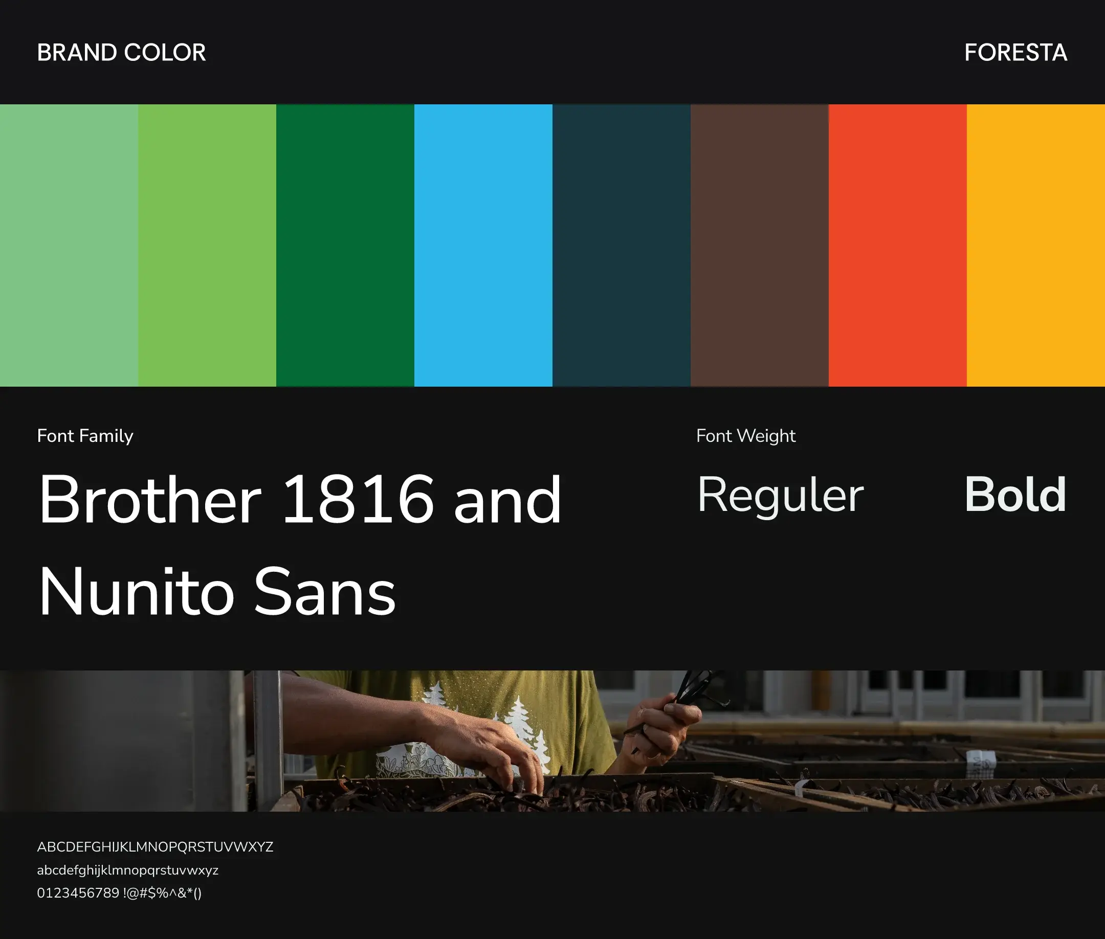Foresta brand and UI exploration