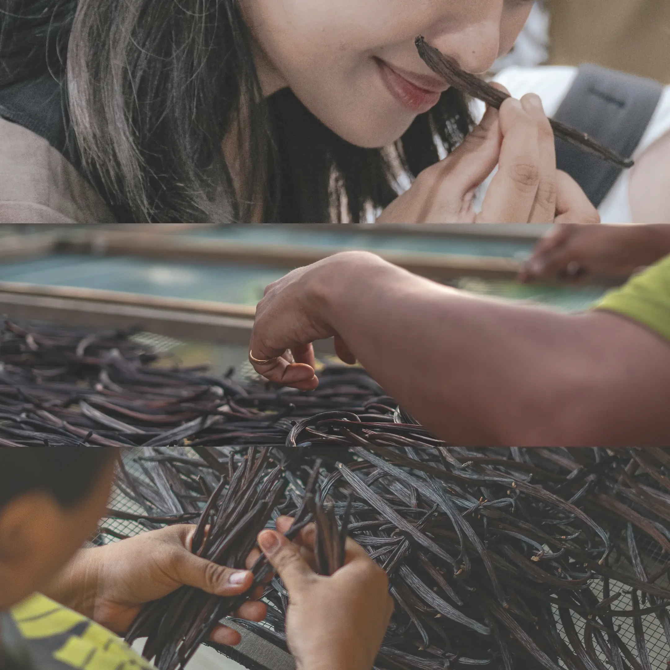 Conservana Spices process photography